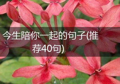 今生陪你一起的句子(推荐40句)