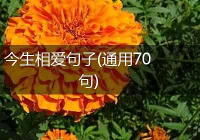 今生相爱句子(通用70句)