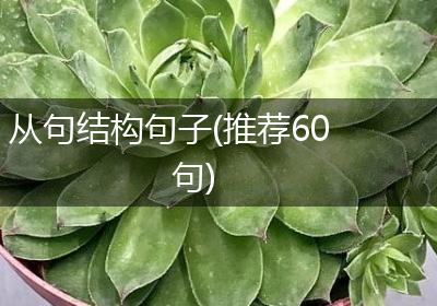 从句结构句子(推荐60句)