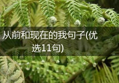 从前和现在的我句子(优选11句)