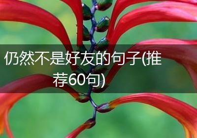 仍然不是好友的句子(推荐60句)