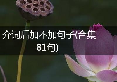 介词后加不加句子(合集81句)