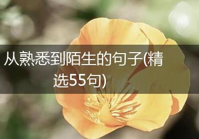 从熟悉到陌生的句子(精选55句)