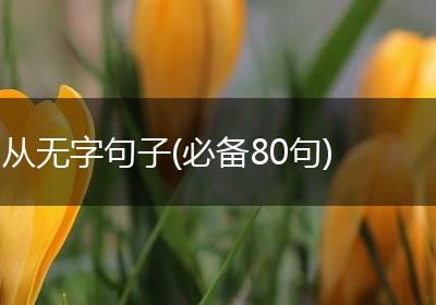 从无字句子(必备80句)