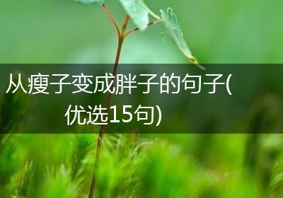 从瘦子变成胖子的句子(优选15句)