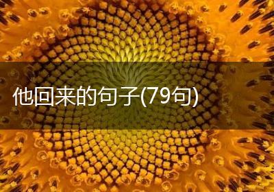 他回来的句子(79句)