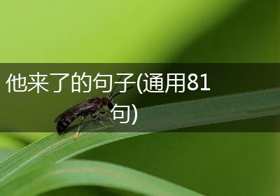 他来了的句子(通用81句)