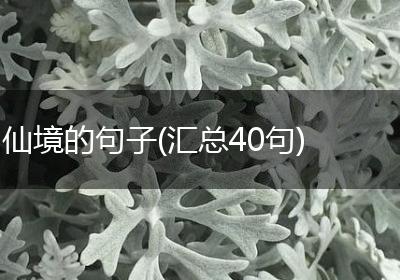 仙境的句子(汇总40句)