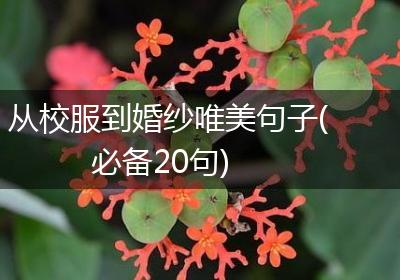 从校服到婚纱唯美句子(必备20句)