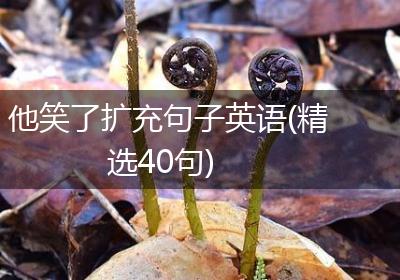 他笑了扩充句子英语(精选40句)