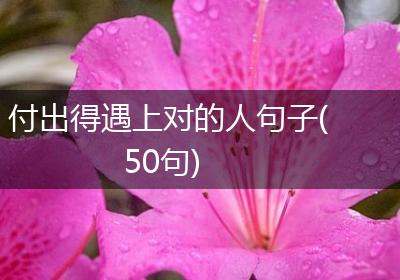 付出得遇上对的人句子(50句)