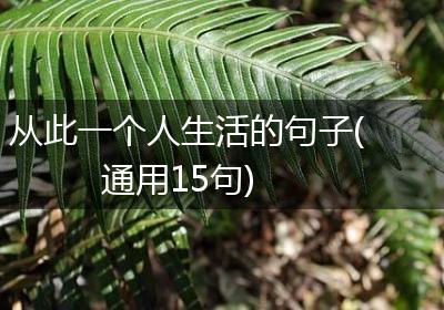 从此一个人生活的句子(通用15句)