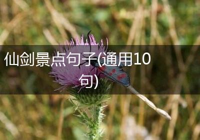 仙剑景点句子(通用10句)