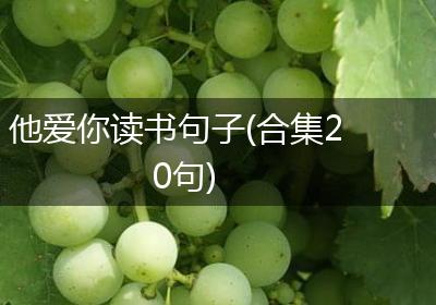 他爱你读书句子(合集20句)