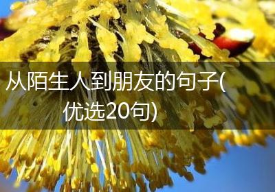 从陌生人到朋友的句子(优选20句)