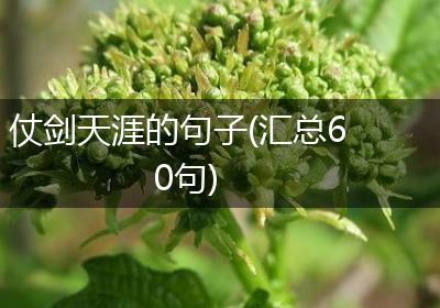 仗剑天涯的句子(汇总60句)