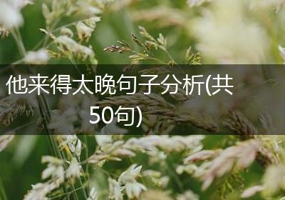 他来得太晚句子分析(共50句)