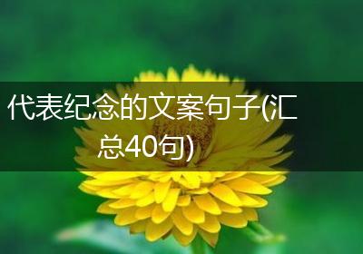 代表纪念的文案句子(汇总40句)