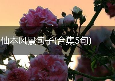 仙本风景句子(合集5句)