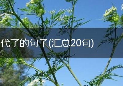 代了的句子(汇总20句)
