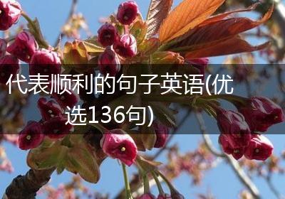 代表顺利的句子英语(优选136句)