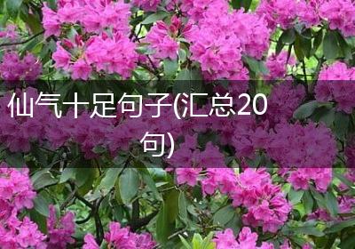 仙气十足句子(汇总20句)