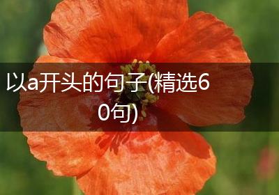 以a开头的句子(精选60句)