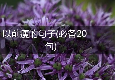 以前瘦的句子(必备20句)