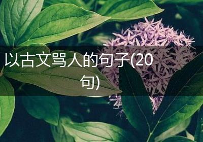 以古文骂人的句子(20句)