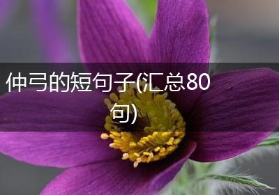 仲弓的短句子(汇总80句)