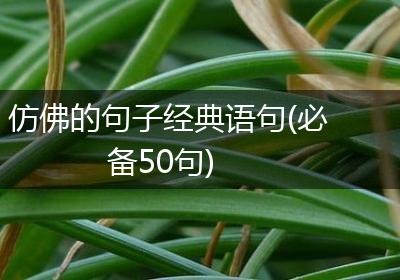 仿佛的句子经典语句(必备50句)