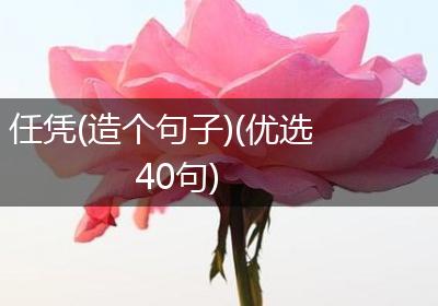 任凭(造个句子)(优选40句)