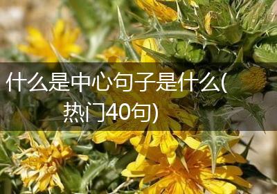 什么是中心句子是什么(热门40句)
