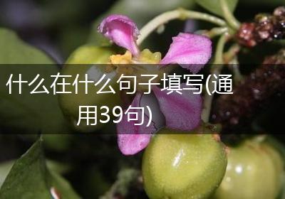 什么在什么句子填写(通用39句)