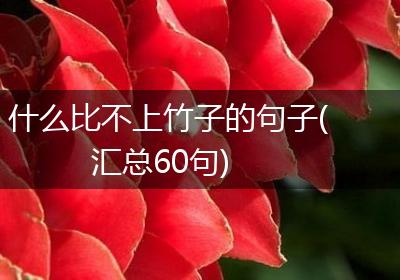 什么比不上竹子的句子(汇总60句)