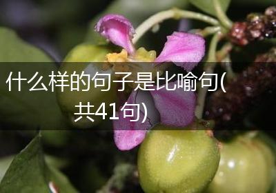 什么样的句子是比喻句(共41句)