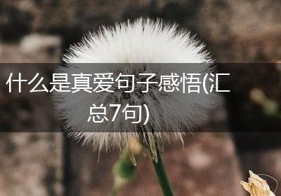 什么是真爱句子感悟(汇总7句)