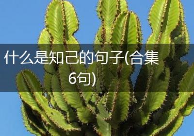 什么是知己的句子(合集6句)