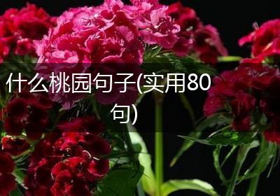什么桃园句子(实用80句)