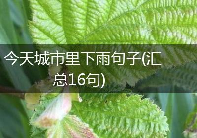 今天城市里下雨句子(汇总16句)