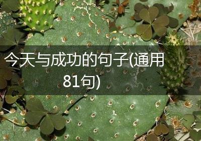 今天与成功的句子(通用81句)