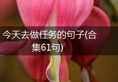 今天去做任务的句子(合集61句)