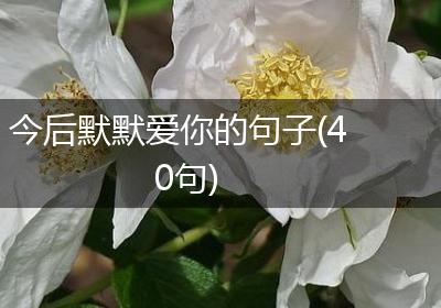 今后默默爱你的句子(40句)