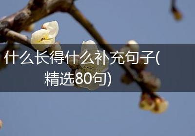 什么长得什么补充句子(精选80句)