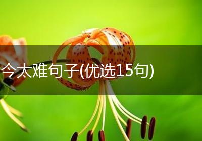今太难句子(优选15句)