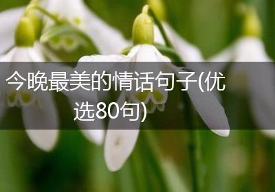 今晚最美的情话句子(优选80句)