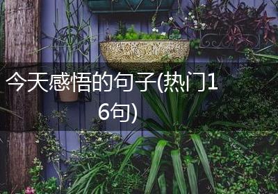 今天感悟的句子(热门16句)
