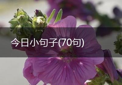 今日小句子(70句)