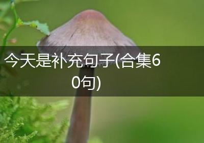 今天是补充句子(合集60句)