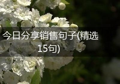 今日分享销售句子(精选15句)